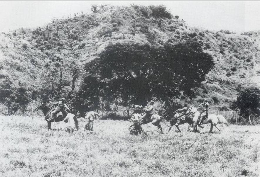 canaguaro3